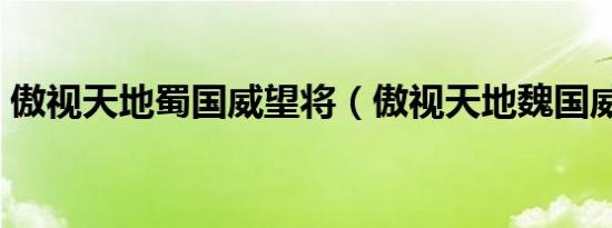 傲视天地蜀国威望将（傲视天地魏国威望将）