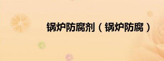 锅炉防腐剂（锅炉防腐）