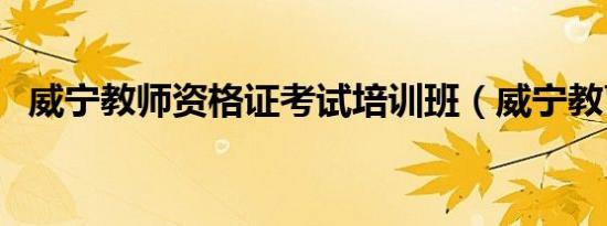 威宁教师资格证考试培训班（威宁教育网）
