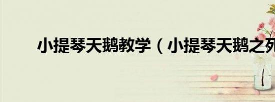 小提琴天鹅教学（小提琴天鹅之死）
