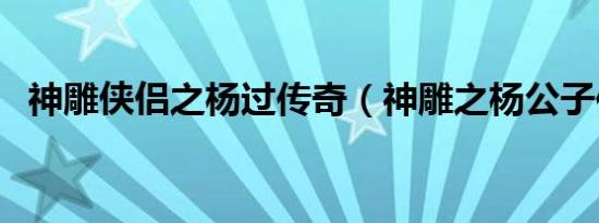 神雕侠侣之杨过传奇（神雕之杨公子传奇）