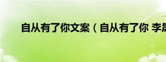 自从有了你文案（自从有了你 李晟）