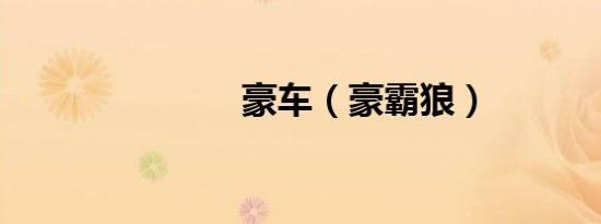 豪车（豪霸狼）