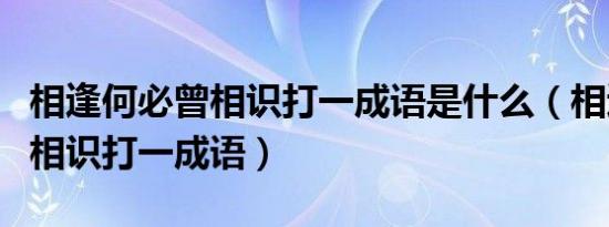 相逢何必曾相识打一成语是什么（相逢何必曾相识打一成语）