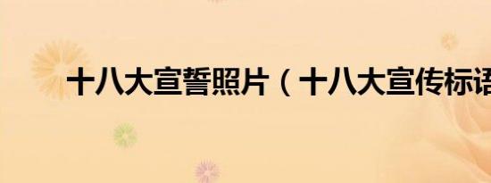 十八大宣誓照片（十八大宣传标语）