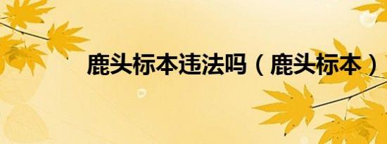 鹿头标本违法吗（鹿头标本）