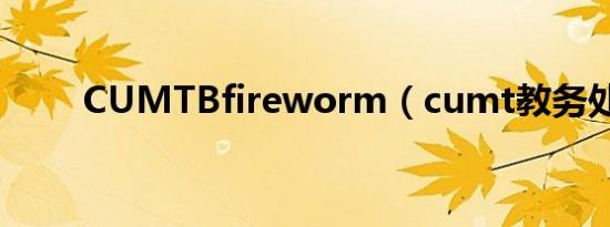 CUMTBfireworm（cumt教务处）