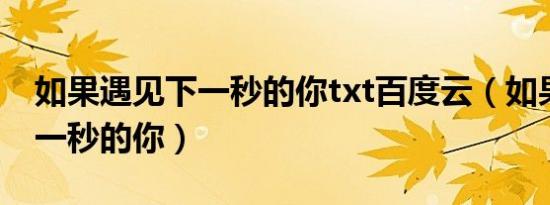 如果遇见下一秒的你txt百度云（如果遇见下一秒的你）