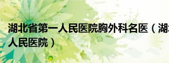 湖北省第一人民医院胸外科名医（湖北省第一人民医院）