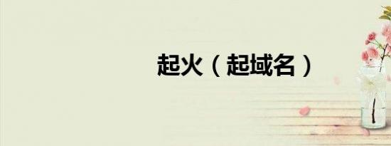 起火（起域名）