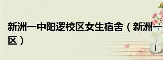 新洲一中阳逻校区女生宿舍（新洲一中阳逻校区）