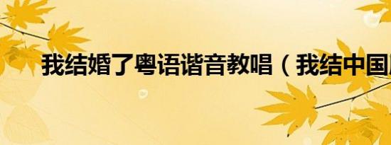 我结婚了粤语谐音教唱（我结中国版）