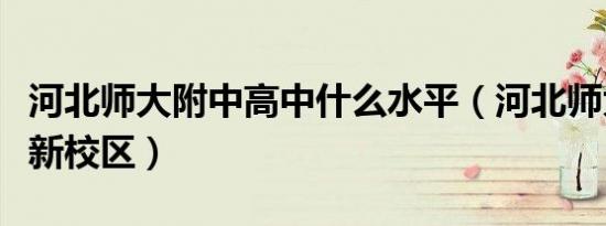 河北师大附中高中什么水平（河北师大附中高新校区）