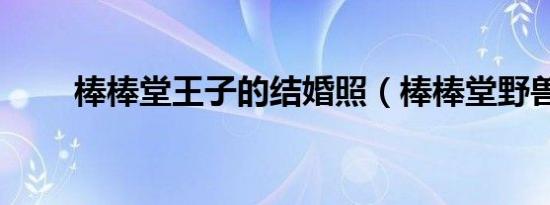 棒棒堂王子的结婚照（棒棒堂野兽）