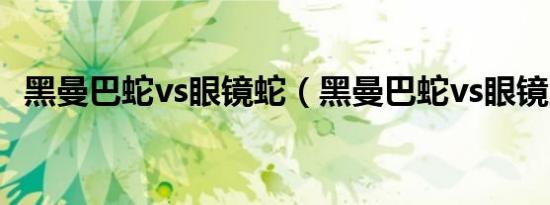 黑曼巴蛇vs眼镜蛇（黑曼巴蛇vs眼镜王蛇）