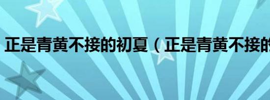 正是青黄不接的初夏（正是青黄不接的初夏）