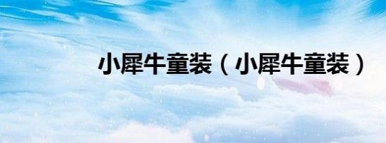 小犀牛童装（小犀牛童装）