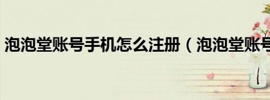泡泡堂账号手机怎么注册（泡泡堂账号注册）