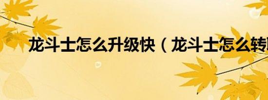 龙斗士怎么升级快（龙斗士怎么转职）