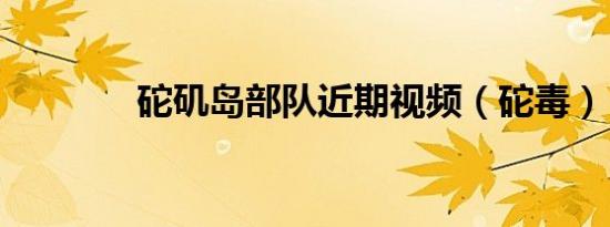砣矶岛部队近期视频（砣毒）
