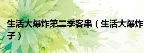 生活大爆炸第二季客串（生活大爆炸第二季种子）