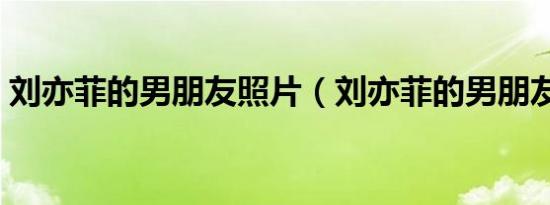 刘亦菲的男朋友照片（刘亦菲的男朋友华汉）