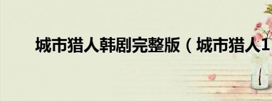 城市猎人韩剧完整版（城市猎人15）