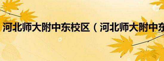 河北师大附中东校区（河北师大附中东校区）