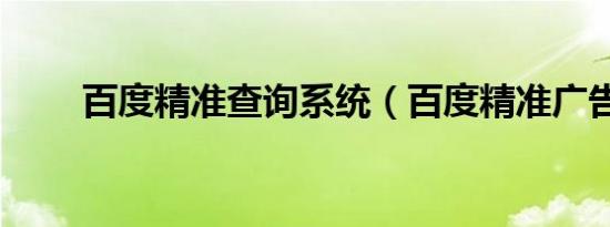百度精准查询系统（百度精准广告）