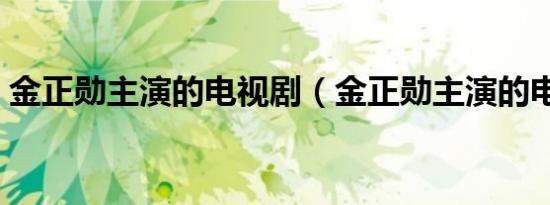 金正勋主演的电视剧（金正勋主演的电视剧）