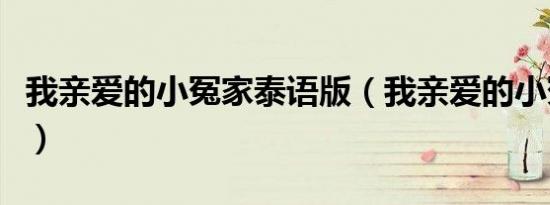 我亲爱的小冤家泰语版（我亲爱的小冤家中文）