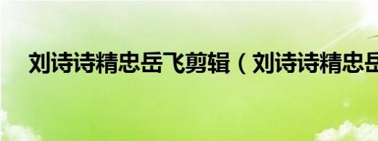 刘诗诗精忠岳飞剪辑（刘诗诗精忠岳飞）