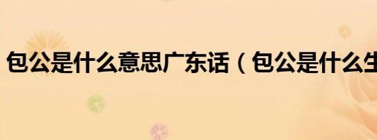 包公是什么意思广东话（包公是什么生肖呀）