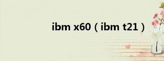 ibm x60（ibm t21）