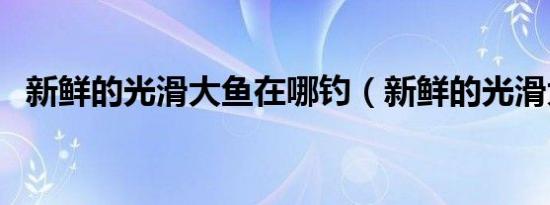 新鲜的光滑大鱼在哪钓（新鲜的光滑大鱼）