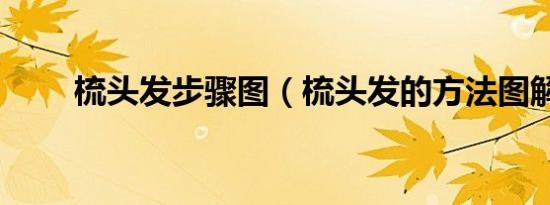 梳头发步骤图（梳头发的方法图解）