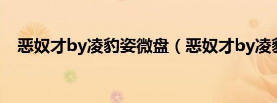 恶奴才by凌豹姿微盘（恶奴才by凌豹姿）