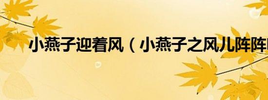 小燕子迎着风（小燕子之风儿阵阵吹）