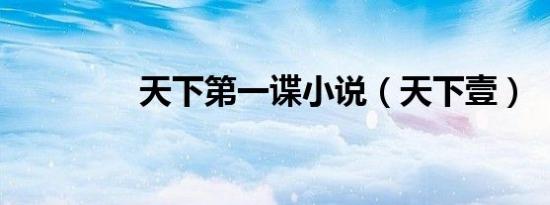 天下第一谍小说（天下壹）