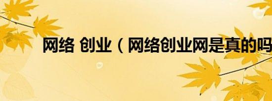网络 创业（网络创业网是真的吗）