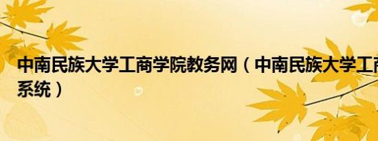 中南民族大学工商学院教务网（中南民族大学工商学院教务系统）