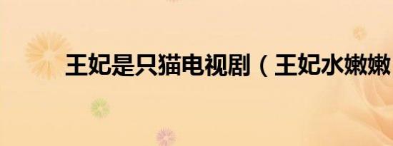 王妃是只猫电视剧（王妃水嫩嫩）