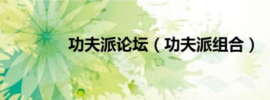 功夫派论坛（功夫派组合）