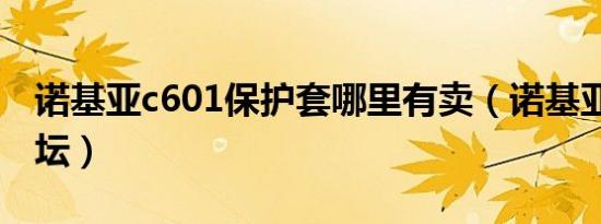 诺基亚c601保护套哪里有卖（诺基亚c601论坛）