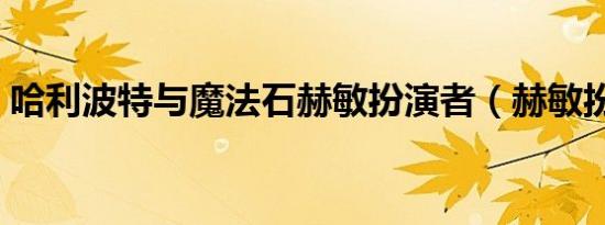 哈利波特与魔法石赫敏扮演者（赫敏扮演者）