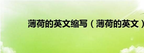 薄荷的英文缩写（薄荷的英文）