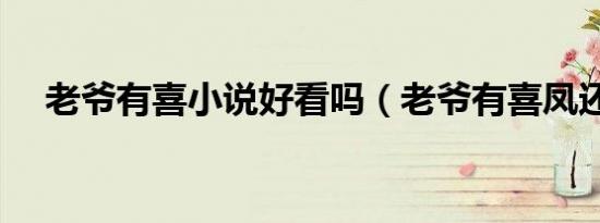 老爷有喜小说好看吗（老爷有喜凤还朝）