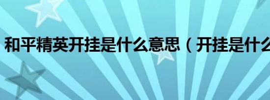 和平精英开挂是什么意思（开挂是什么意思）