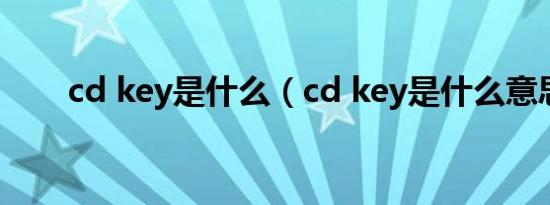 cd key是什么（cd key是什么意思）