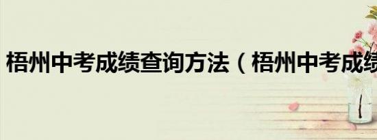 梧州中考成绩查询方法（梧州中考成绩查询）